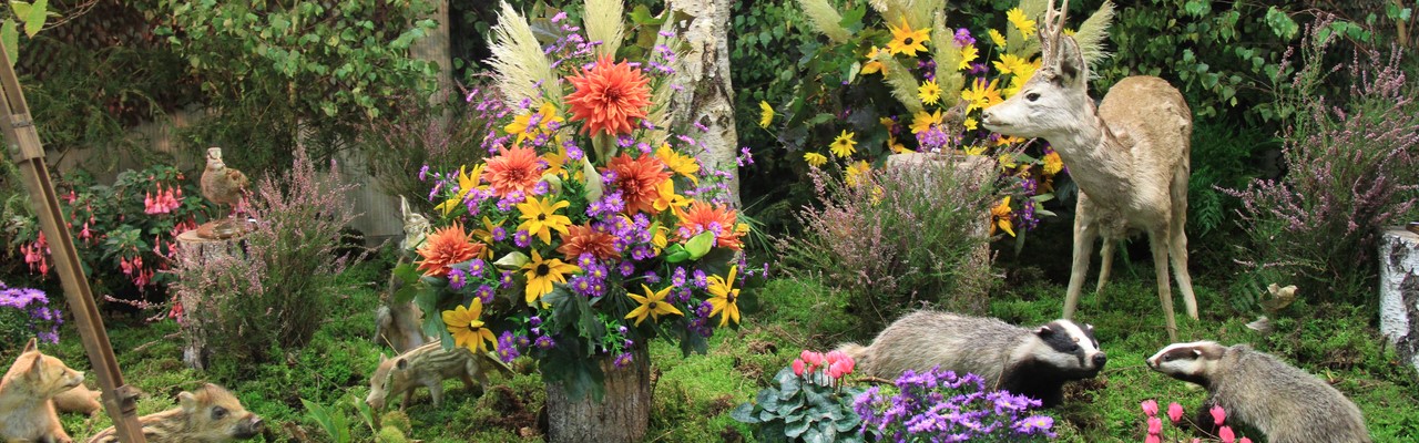 Rencontres photographiques (4).JPG